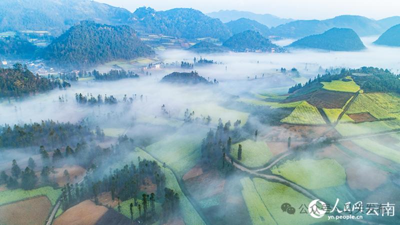 云雾之中油菜花若隐若现。熊平祥摄