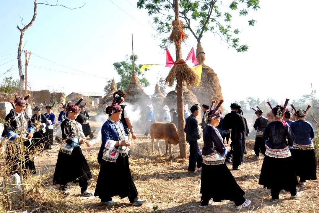 10.“摩多介”宗教文化：杀牛祭祀.jpg