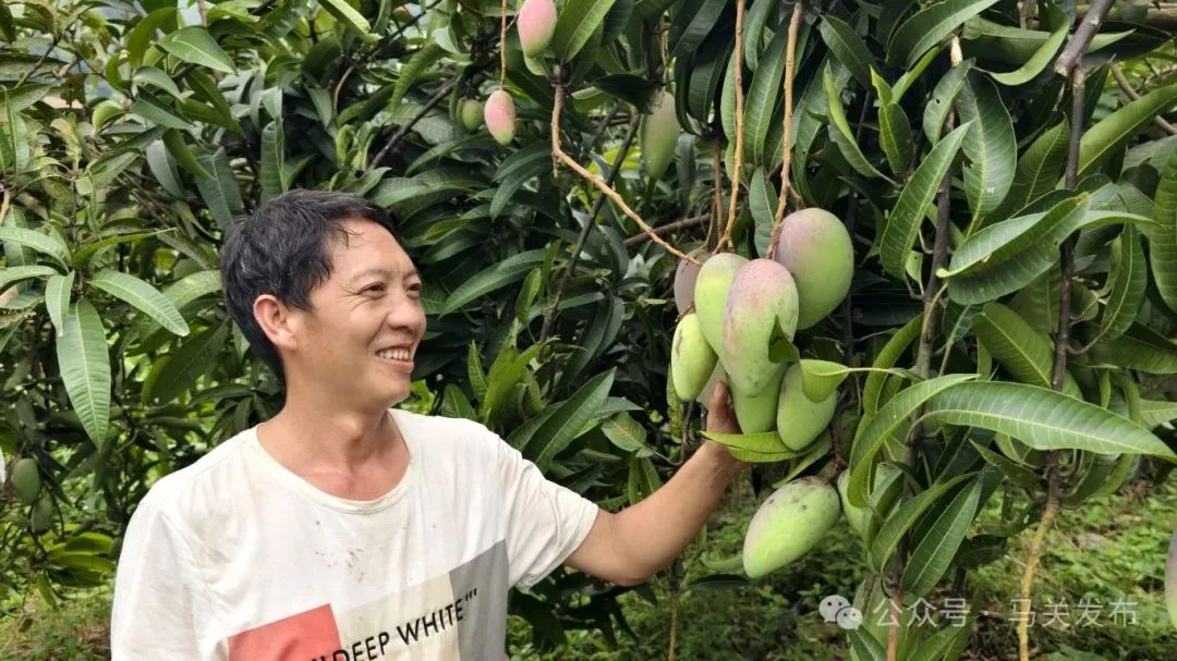 王树锋.jpg