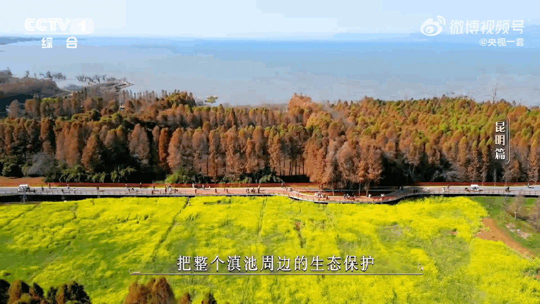 4.gif