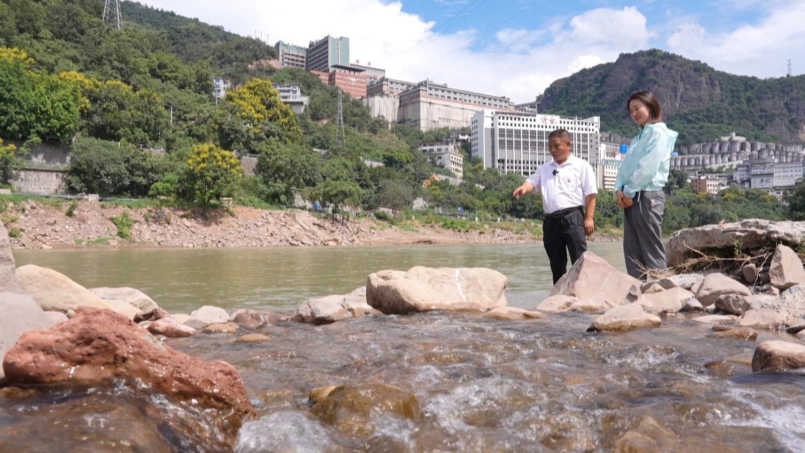椿树沟从此汇入赤水河。