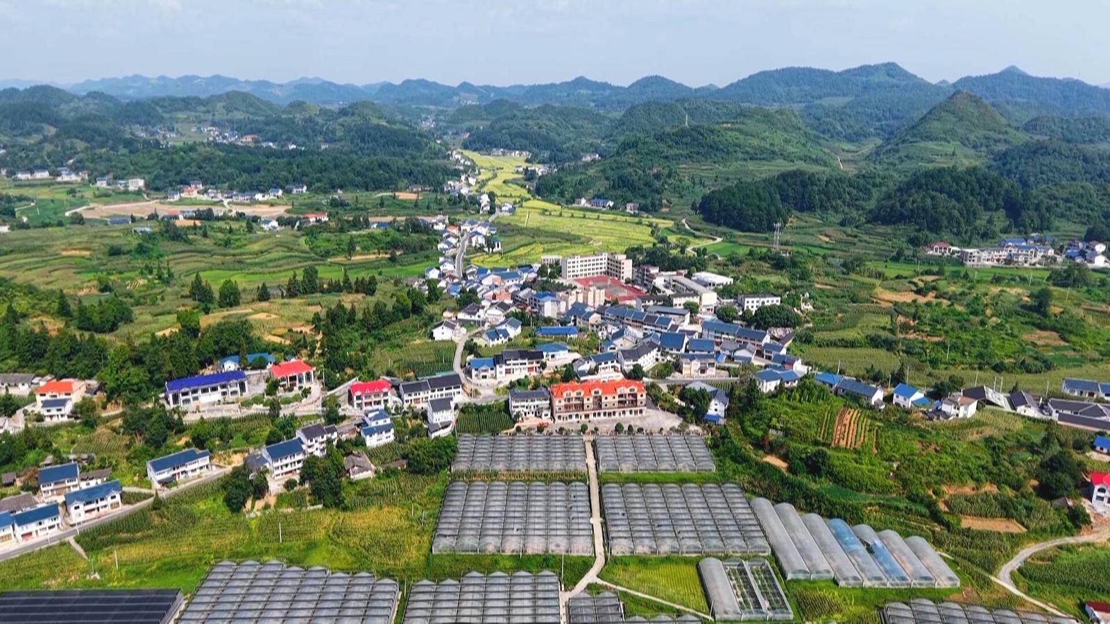 “看得见山,望得见水,记得住乡愁”的花茂村。