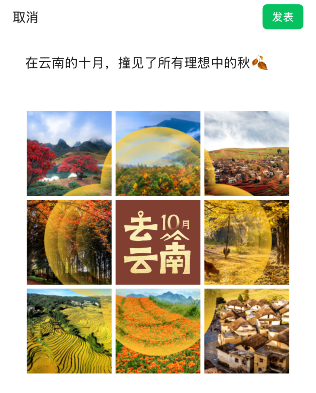 b2eace97832998d6504f938e05c1a811.jpg