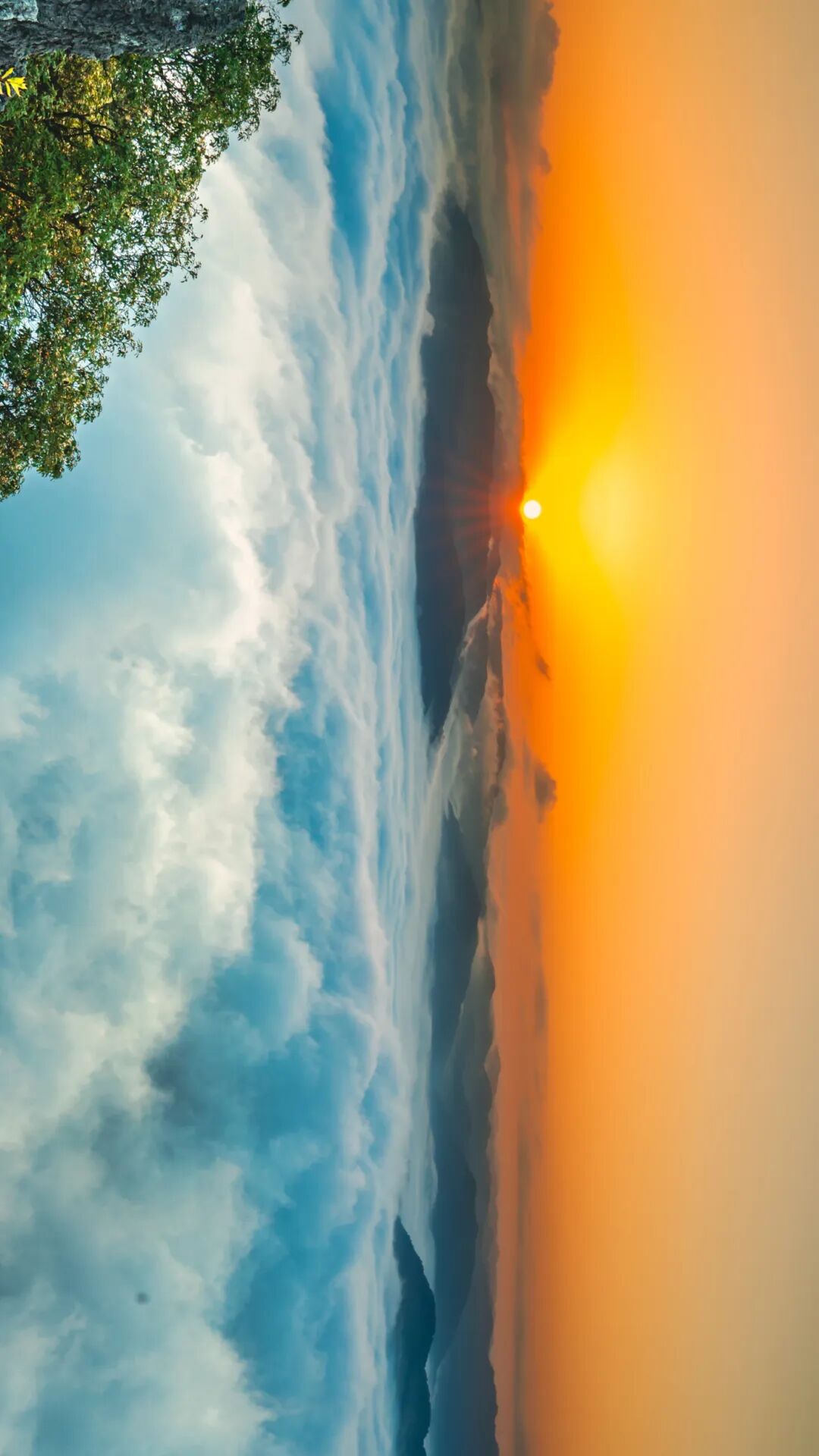 图片说明：云海之上，普洱山如海上行舟。 饶雪松 摄.jpg