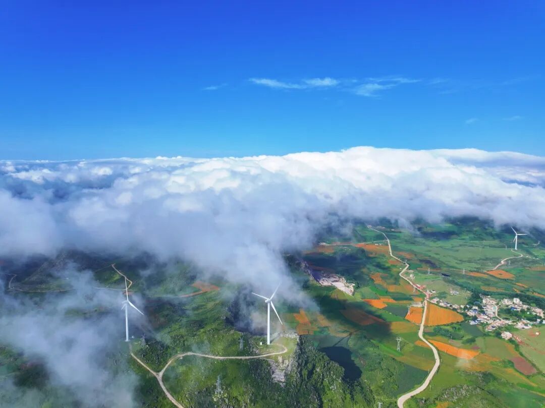 图片说明：云海给舍得草场盖上了厚厚的“棉被”。 刘瑞 摄_副本.jpg