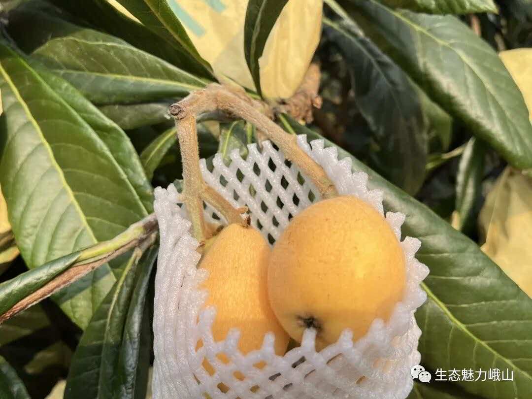 正在上传...