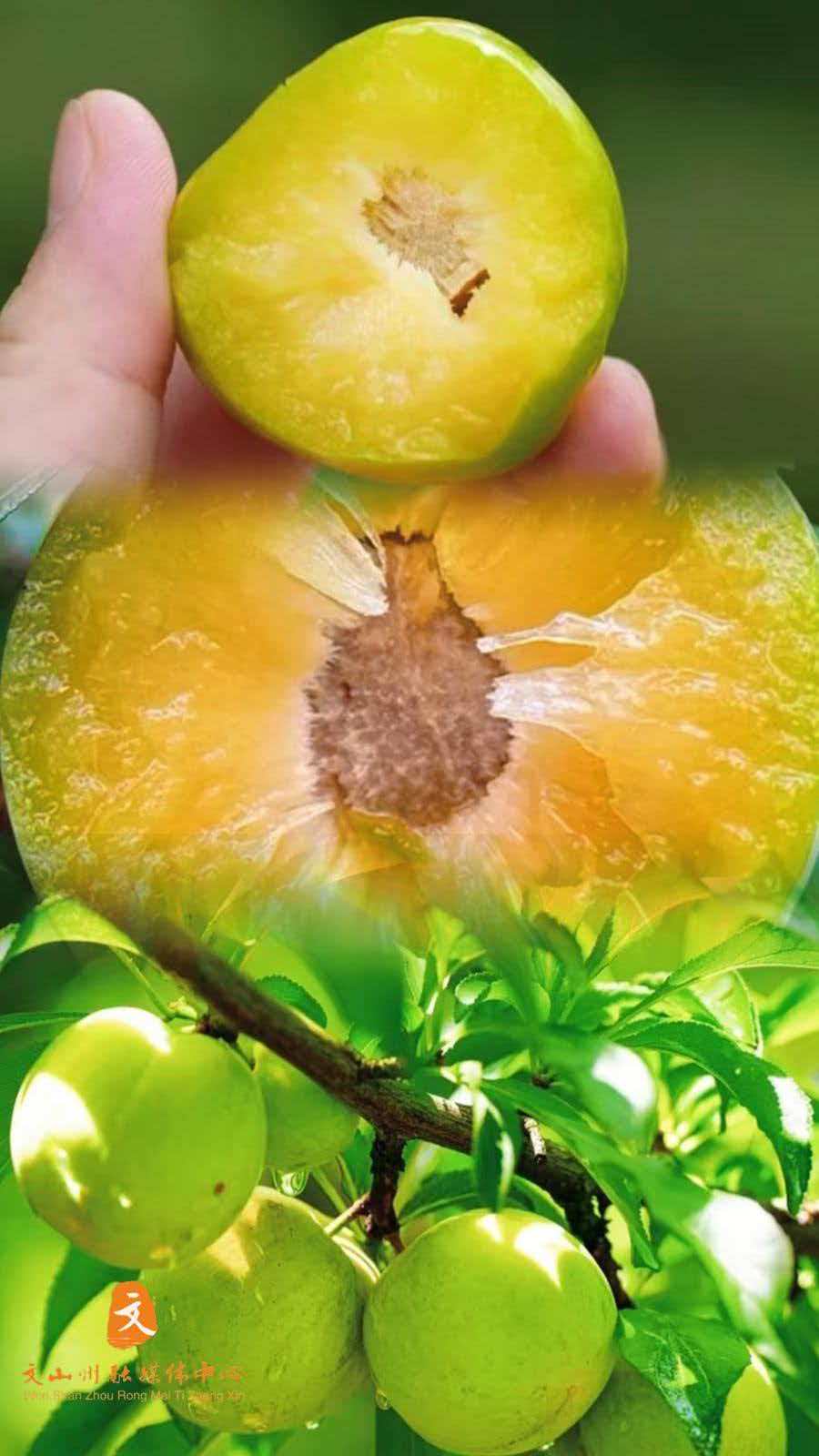 正在上传...