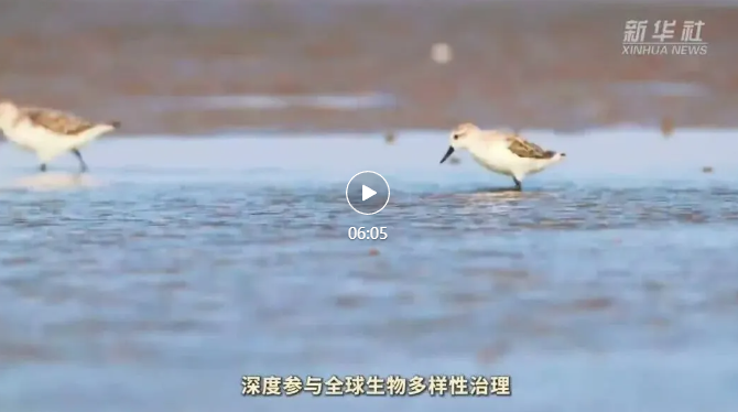 正在上传...