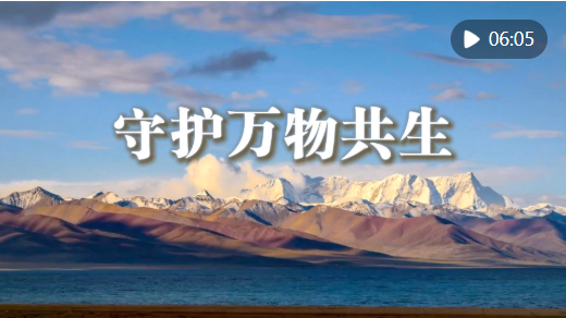 正在上传...