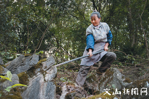 西畴人的地球故事