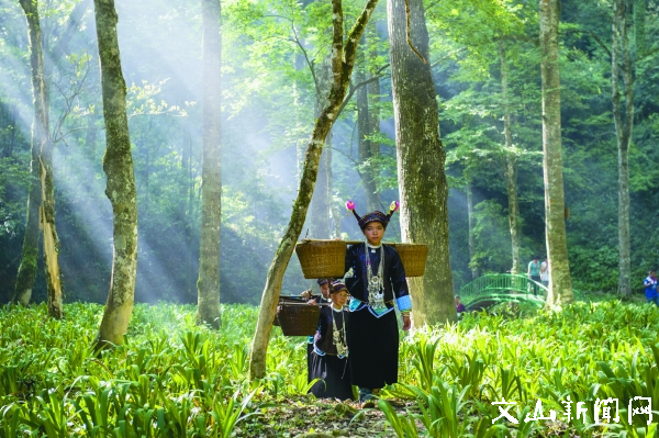 者兔九龙山