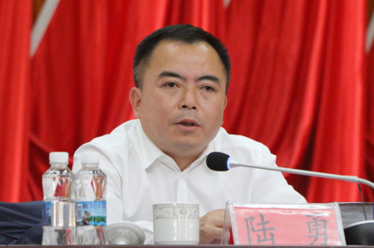 图为县委副书记,县长陆勇作讲话
