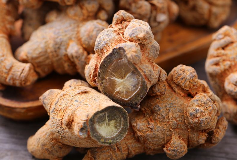 专业研究团队初步揭示3年生三七中皂苷含量较高分子机理